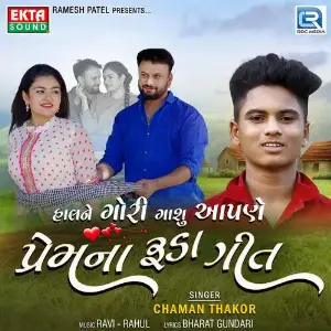 Halne Gori Gashu Aapne Premna Ruda Geet image