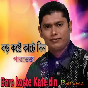 Boro Koste Kate Din image