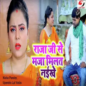 Raja Ji Se Maja Milat Naikhe image