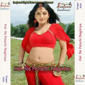 Hai Re Patarki Naginiya image