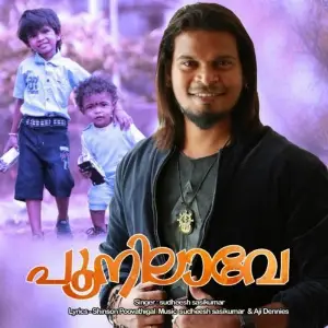 Poonilavu image