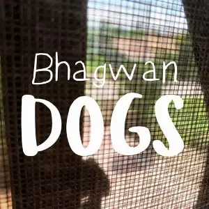 Dogs Bhagwan