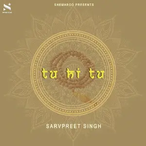 Tu Hi Tu image