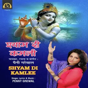 Shyam Di Kamlee image