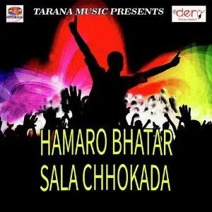 Hamaro Bhatar Sala Chhokada Various Artists