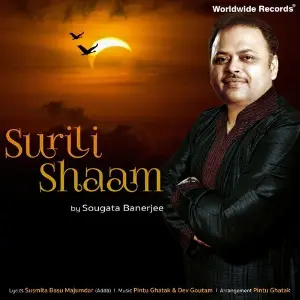 Surili Shaam image