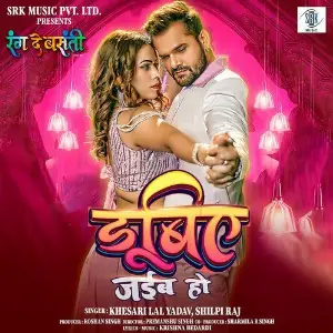 Dubiye Jaiba Ho (From Rang De Basanti) image
