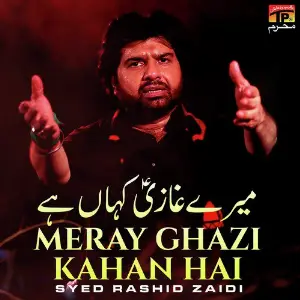 Meray Ghazi Kahan Hai - Single image