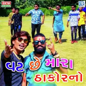 Maari Mata Kare E Kharu Suresh Zala