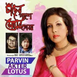 Chader Pashe Megher Kheya image