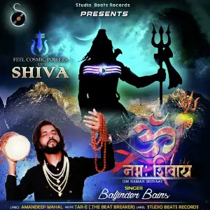 Om Namah Shivaay image