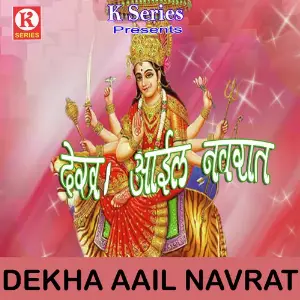 Dekha Aail Navrat image