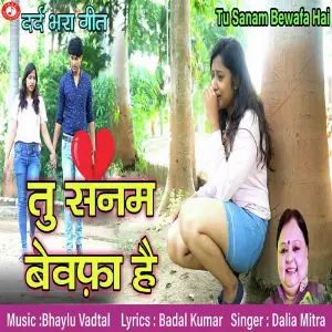 Tu Sanam Bewafa Hai image