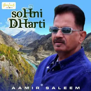 Sohni Dharti - Single image