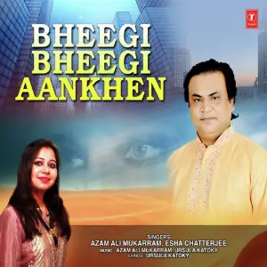 Bheegi Bheegi Aankhen image