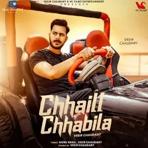 Chhaill Chhabila image