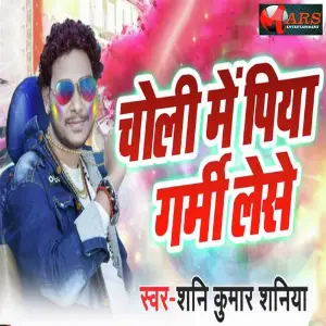 Choli Me Piya Garmi Lese image