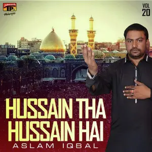 Hussain Tha Hussain Hai, Vol. 20 image
