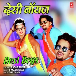 Desi Boys image