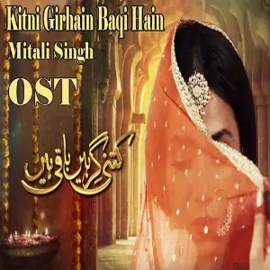 Kitni Girhain Baqi Hain (From Kitni Girhain Baqi Hain) image