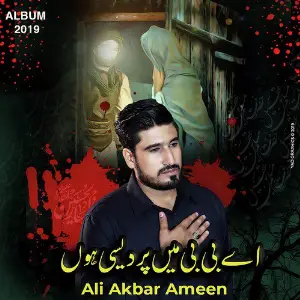 Pardesi Hoon image