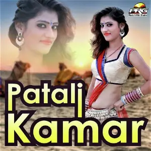 Patali Kamar image