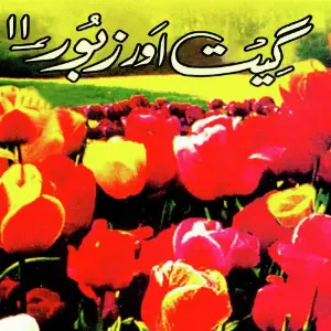 Geet Aur Zaboor, Vol. 11 image