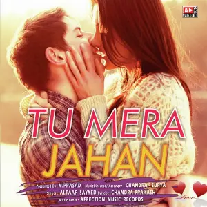 Tu Mera Jahan image