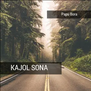 Kajol Sona image