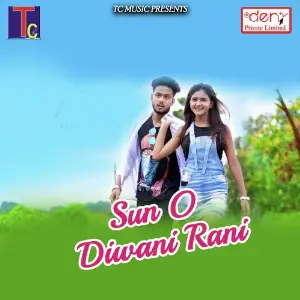 Sun O Diwani Rani image