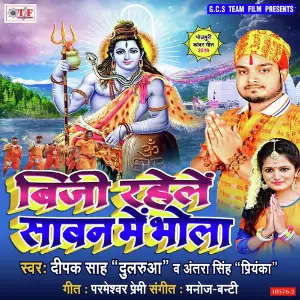 Busy Rahele Sawan Me Bhola image