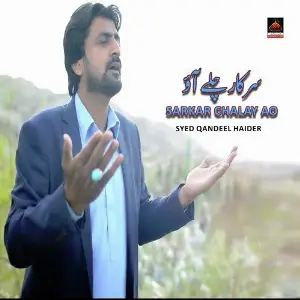 Sarkar Chalay Ao image