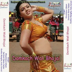 Domkach Wali Bhojai image
