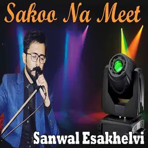 Sakoo Na Meet image