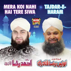 Tajdar e Haram image