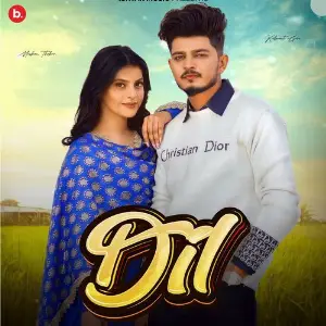 Dil image
