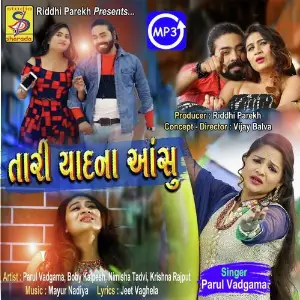 Tari Yaad Na Ansu image