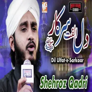 Dil Ulfat E Sarkaar - Single image