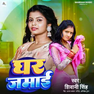 Ghar Jamai image