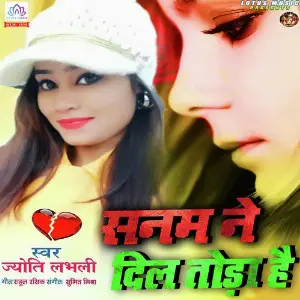 Sanam Ne Dil Toda Hai image
