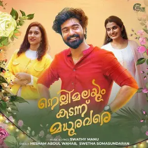 Nellimalayum Kadannu Madhura Vare image