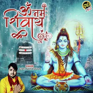 Om Namah Shivay image