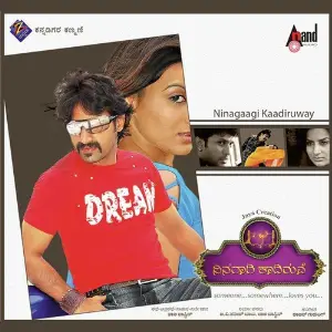 Ninagagi Kadiruve image