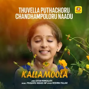 Thuvella Puthachoru Chandhampoloru Naadu (From Kallamoola) image