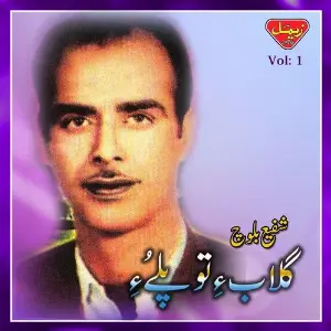 Gulab-e-Tou Pulley, Vol. 1 image