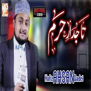 Tajdar E Haram - Single image