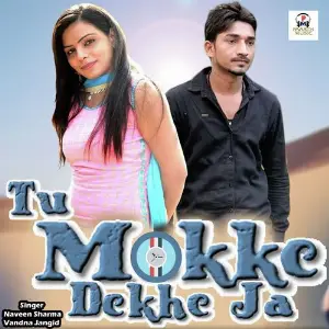 Tu Mokke Dekhe Ja image