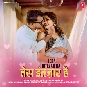 Tera Intezar Hai image