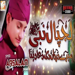 Lajpaal Nabi Mere - Single image