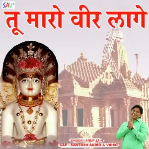 Tu Maro Veer Laage image